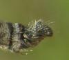 212760 – Photo : Axel Dehalleux – France (91)